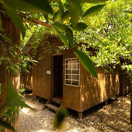 Olympos Yakamoz Pansiyon Екстериор снимка