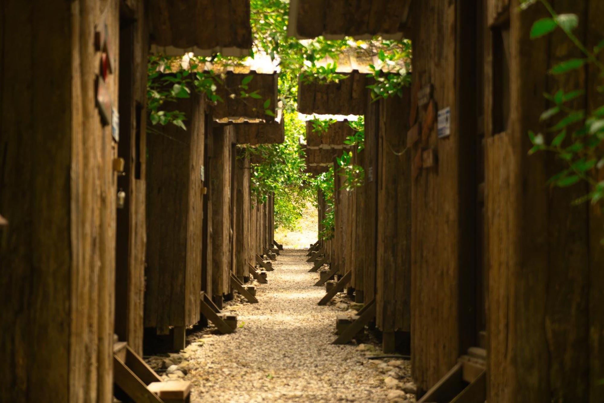 Olympos Yakamoz Pansiyon Екстериор снимка