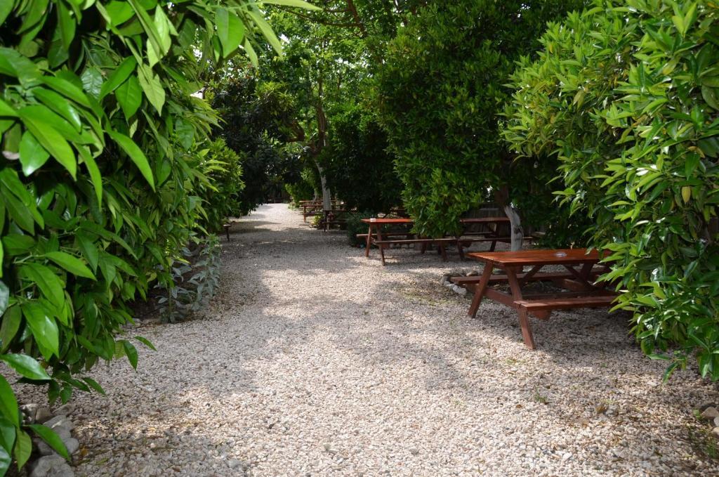 Olympos Yakamoz Pansiyon Екстериор снимка