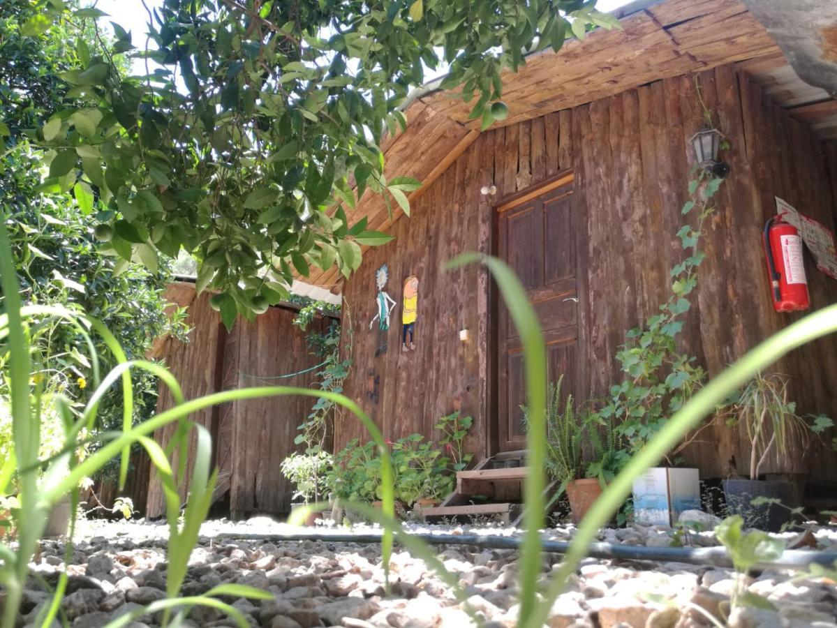 Olympos Yakamoz Pansiyon Екстериор снимка