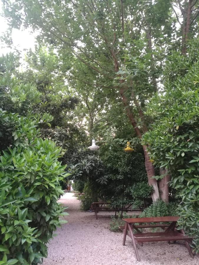 Olympos Yakamoz Pansiyon Екстериор снимка