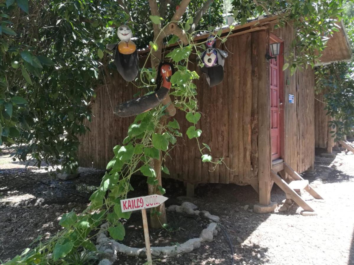 Olympos Yakamoz Pansiyon Екстериор снимка