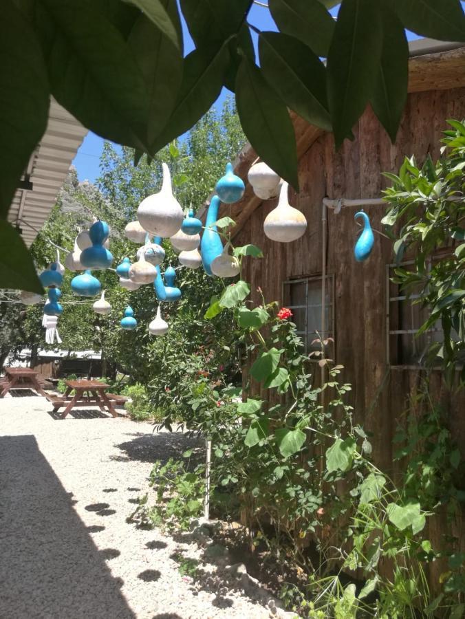 Olympos Yakamoz Pansiyon Екстериор снимка