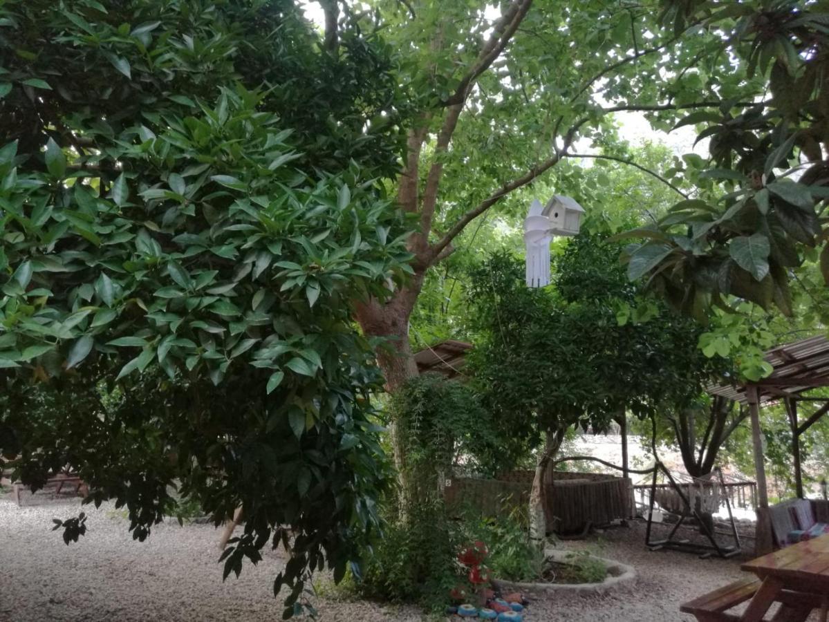 Olympos Yakamoz Pansiyon Екстериор снимка