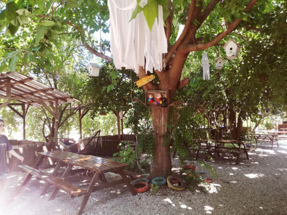 Olympos Yakamoz Pansiyon Екстериор снимка